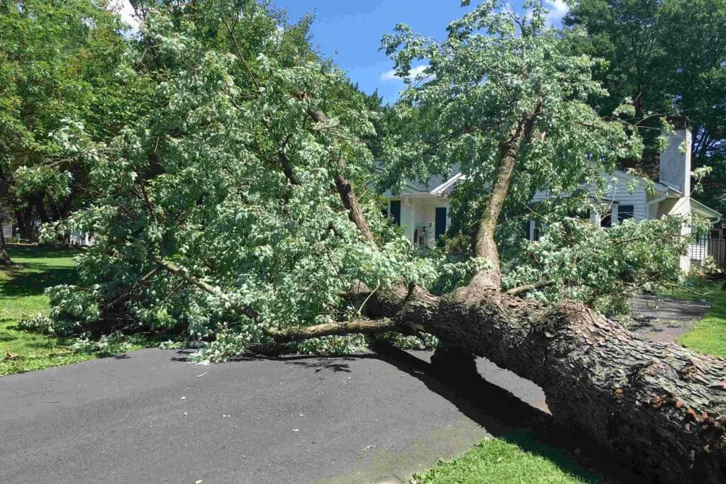 What Types of Roof Damage Are Covered by Homeowners Insurance?