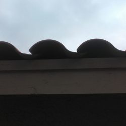 Tile Roof Problem - No Bird Stop Under Tiles - Small