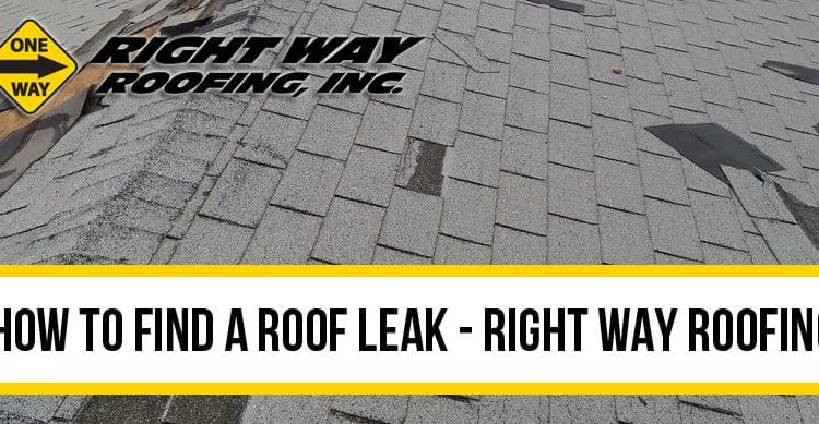 How To Find A Roof Leak Guide