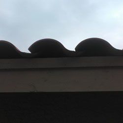 Tile Roof Problem - No Bird Stop Under Tiles Tile Roof Problem - No Bird Stop Under Tiles