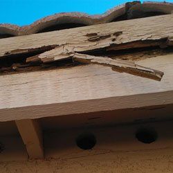 Tile Roof Problem - Rotton Fascia