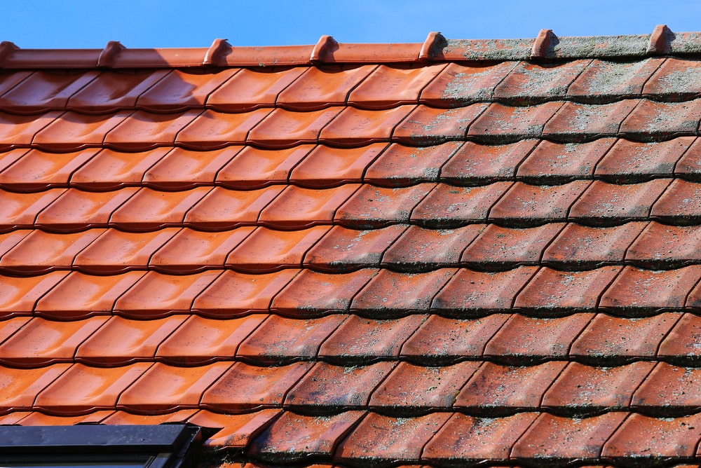 Clean Tile roof