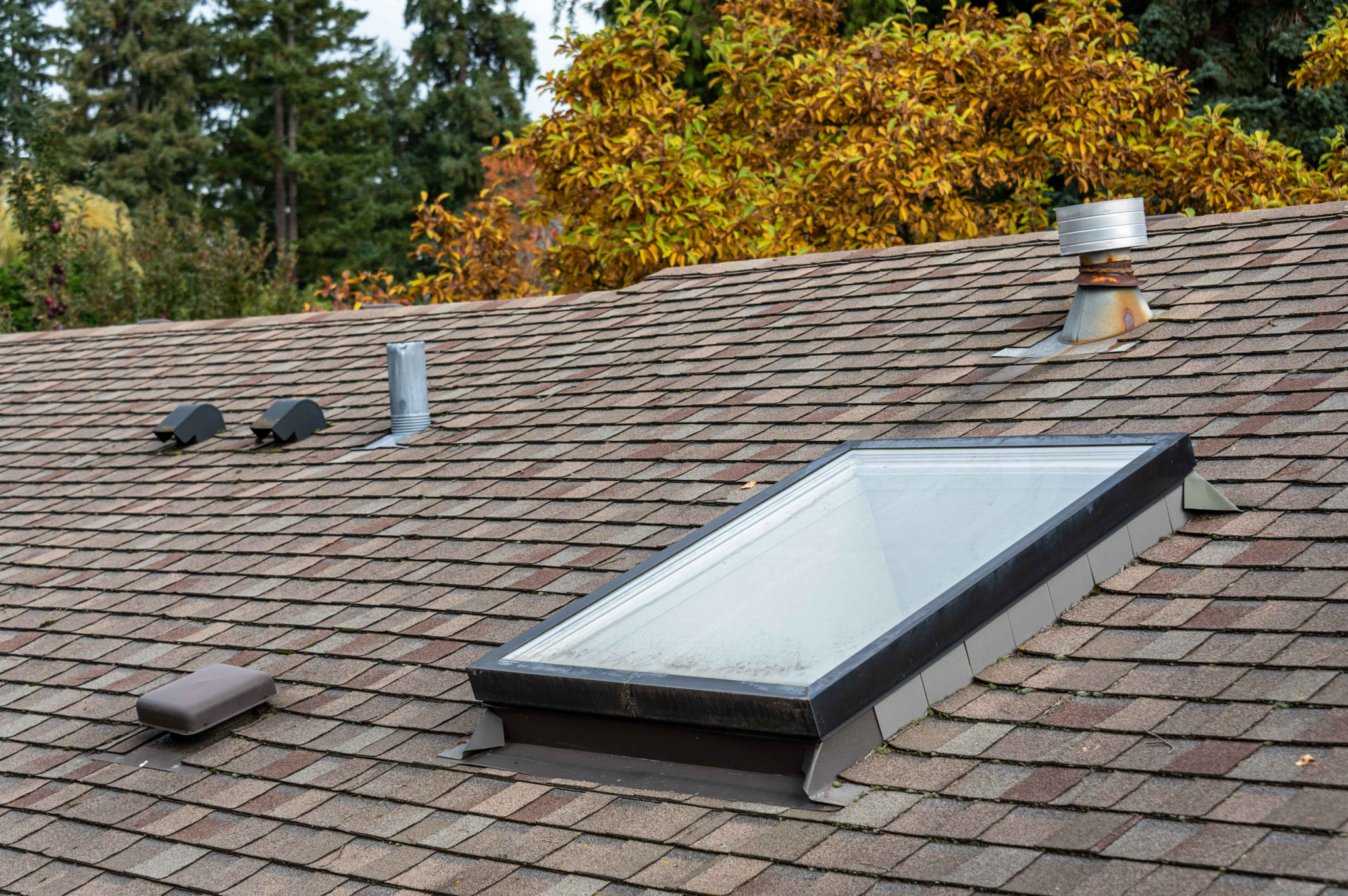 skylight roofing